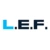 Logo Northrop Grumman L.E.F. GmbH