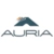Logo Auria Solutions GmbH